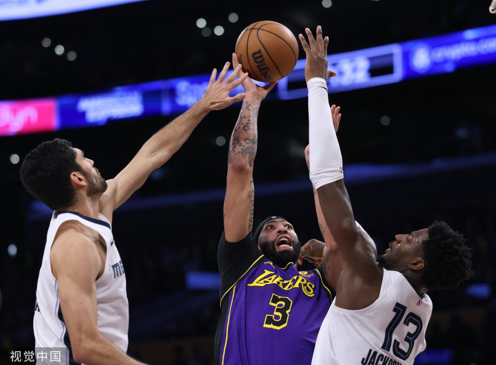 培养取向 培养取向